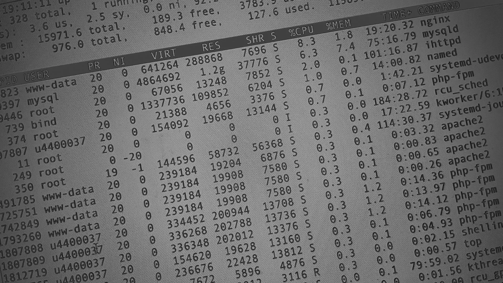 Настройка сервера в Новом Осколе